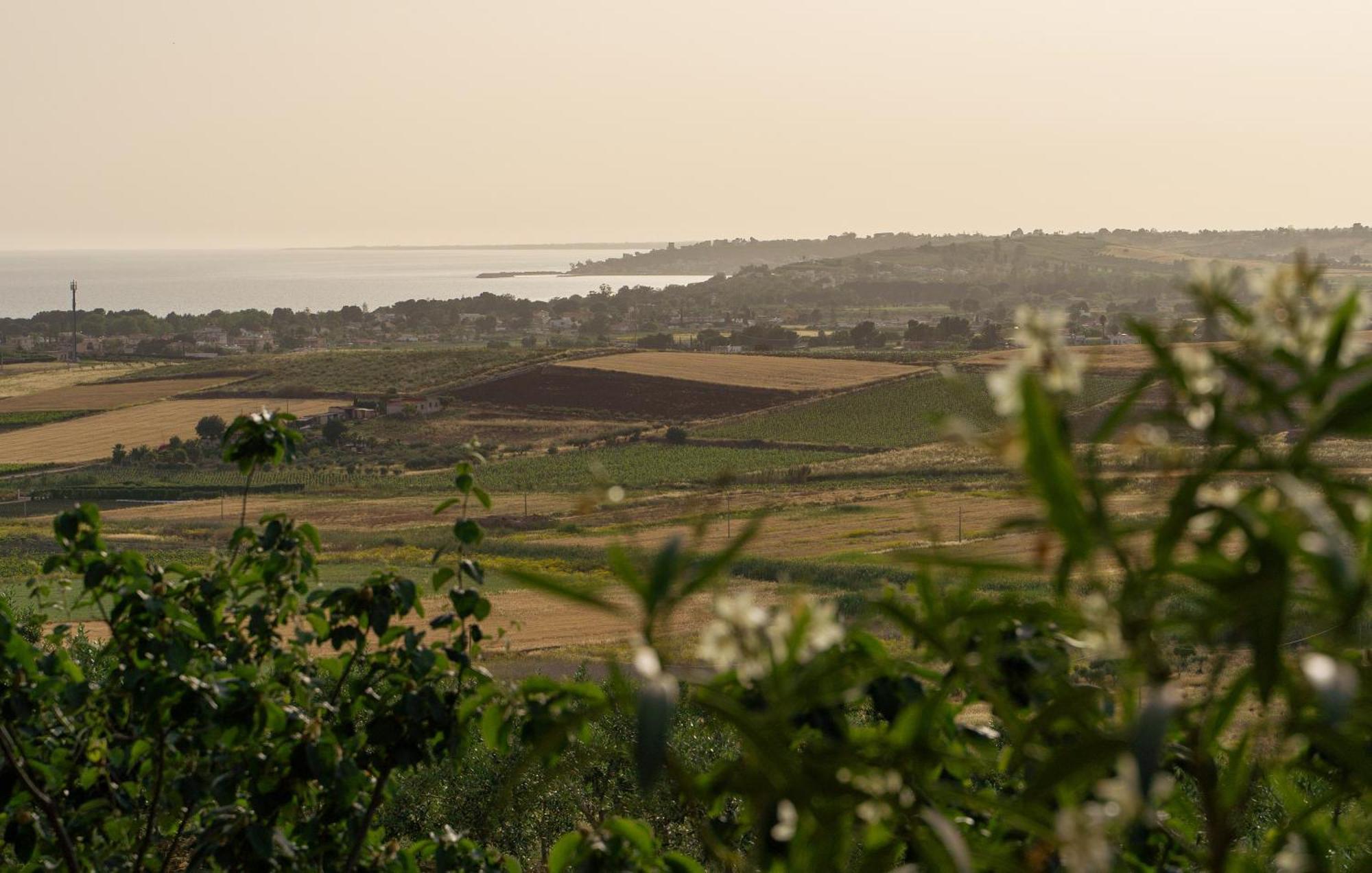 Casa Panoramica Tra Mare E Natura Menfi Dış mekan fotoğraf